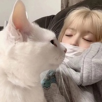 节奏探秘者